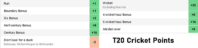 Dream11 T20 Cricket Point System